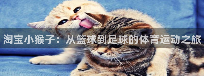 v66体育彩票平台能提现吗：淘宝小猴子：从篮球到足球的体育运动之旅