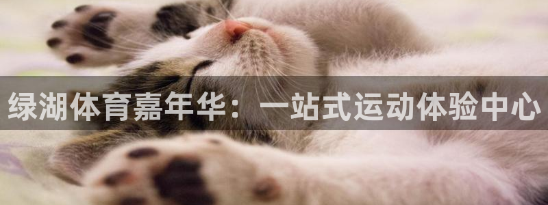 v66体育是真是假：绿湖体育嘉年华：一站式运动体验中心