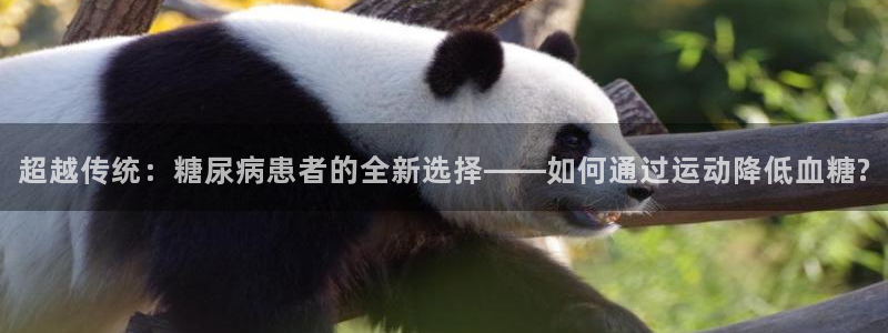 z66体育网站是正规的吗：超越传统：糖尿病患者的全新选择——如何通过运动降低血糖?