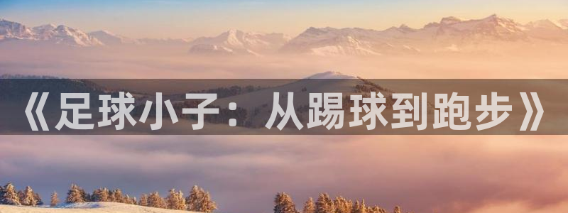 66体育平台：《足球小子：从踢球到跑步》