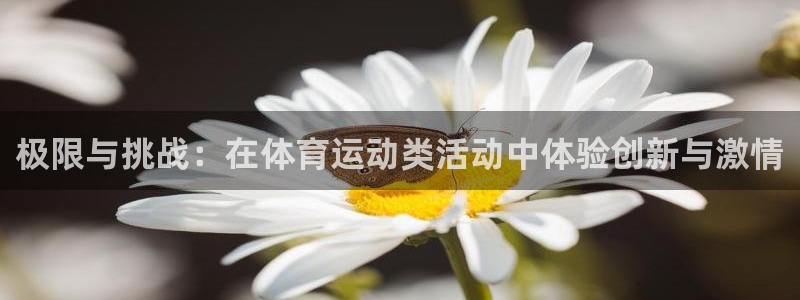 z66体育能提现吗：极限与挑战：在体育运动类活动中体验创新与激情