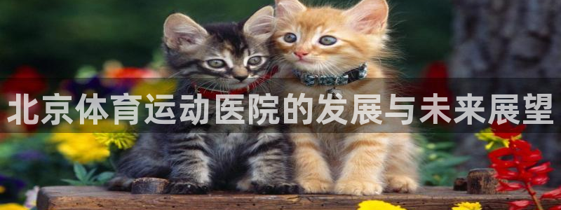 v66体育平台正规吗可靠吗：北京体育运动医院的发展与未来展望