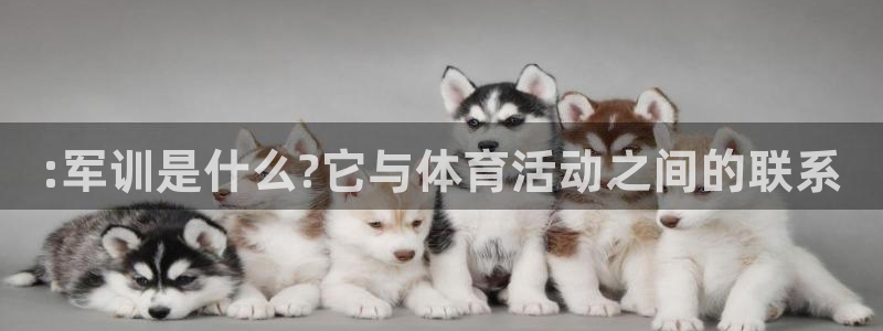z66体育平台：:军训是什么?它与体育活动之间的联系
